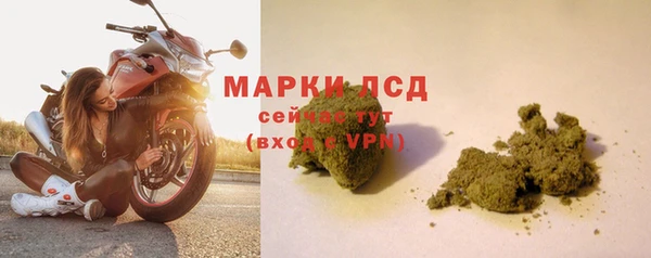 прущие крисы Алзамай