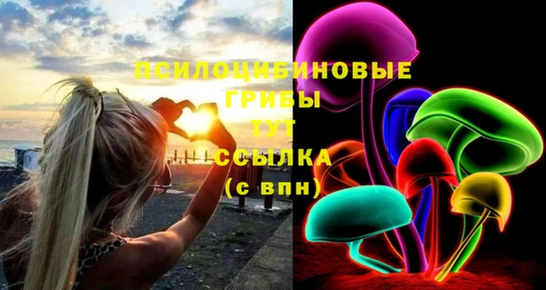 спиды Алексеевка